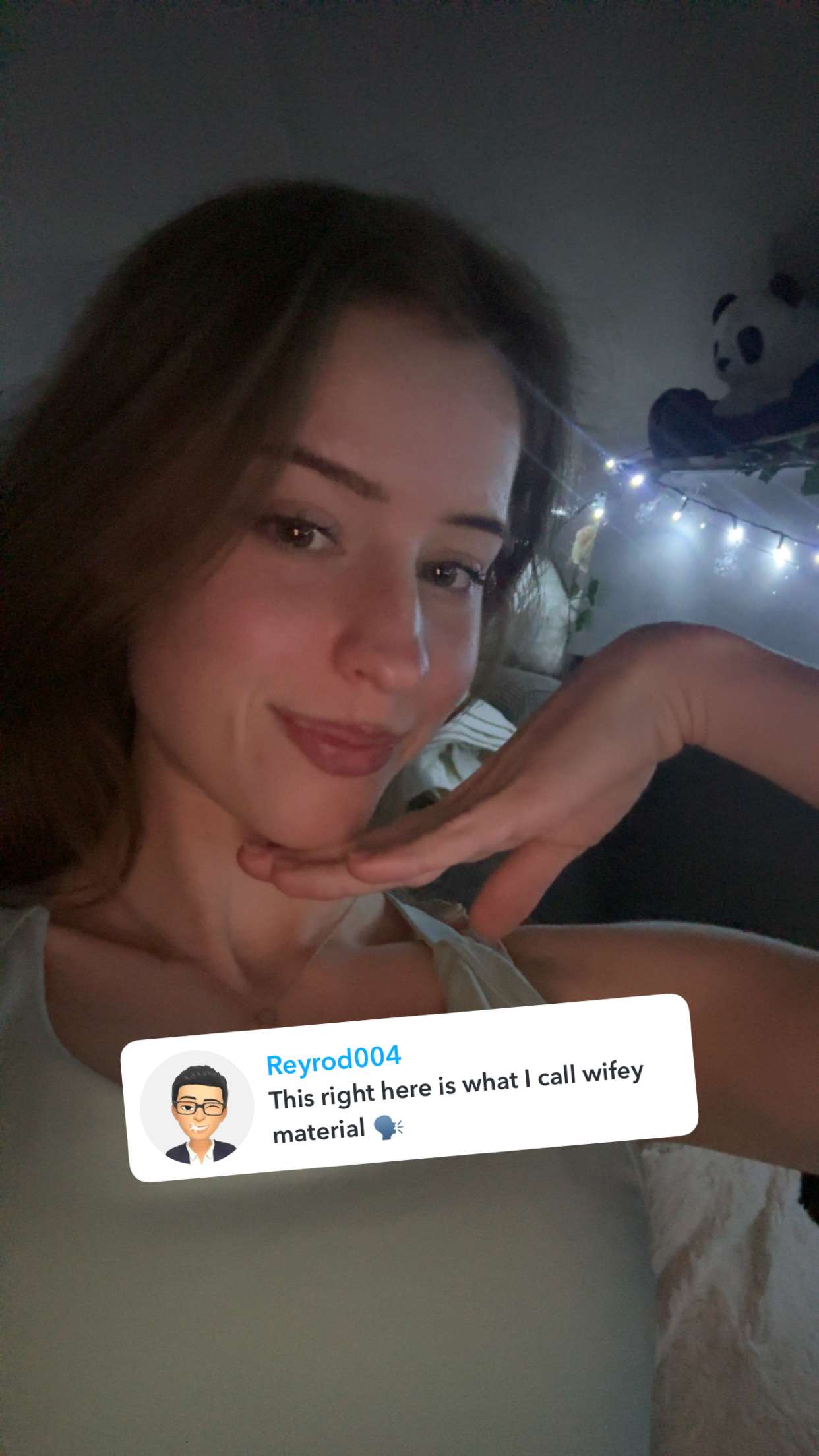 mira.0004 snapchat image archive image