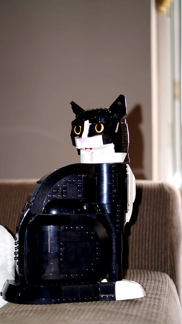 mira.0004 image ~ Altpins