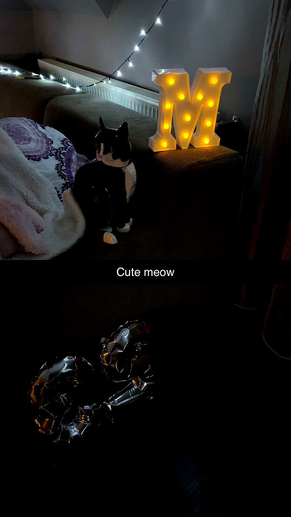 mira.0004 image ~ Altpins