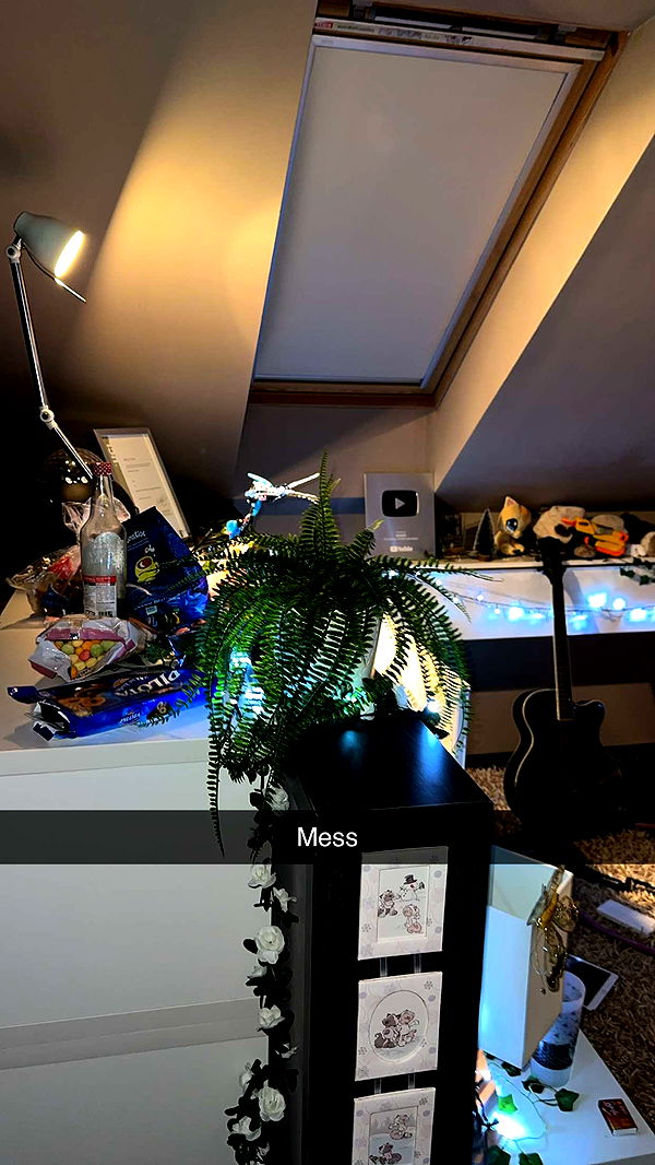 mira.0004 image ~ Altpins