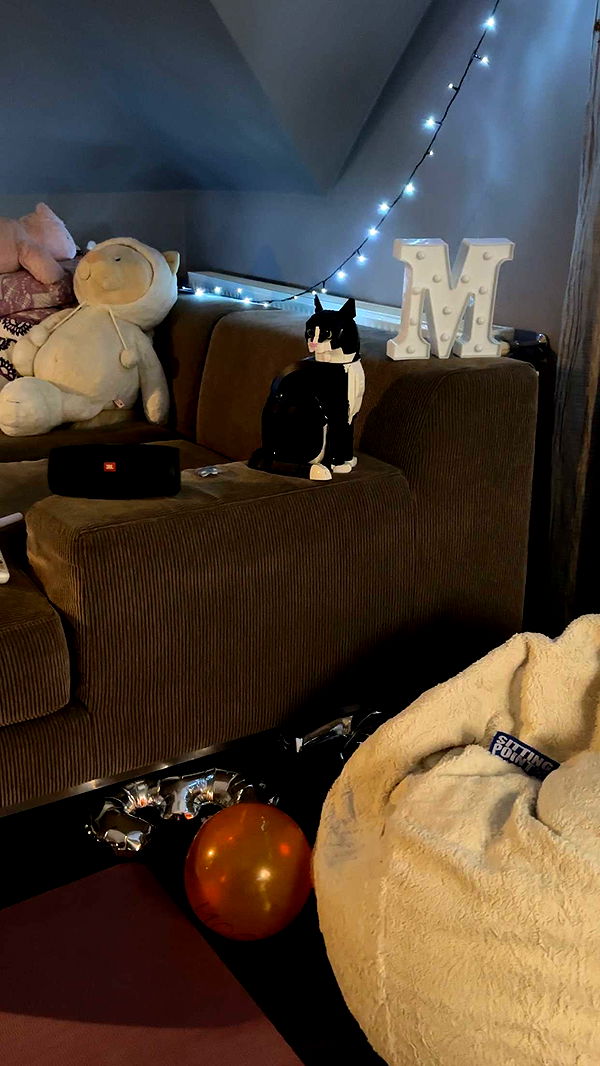 mira.0004 image ~ Altpins