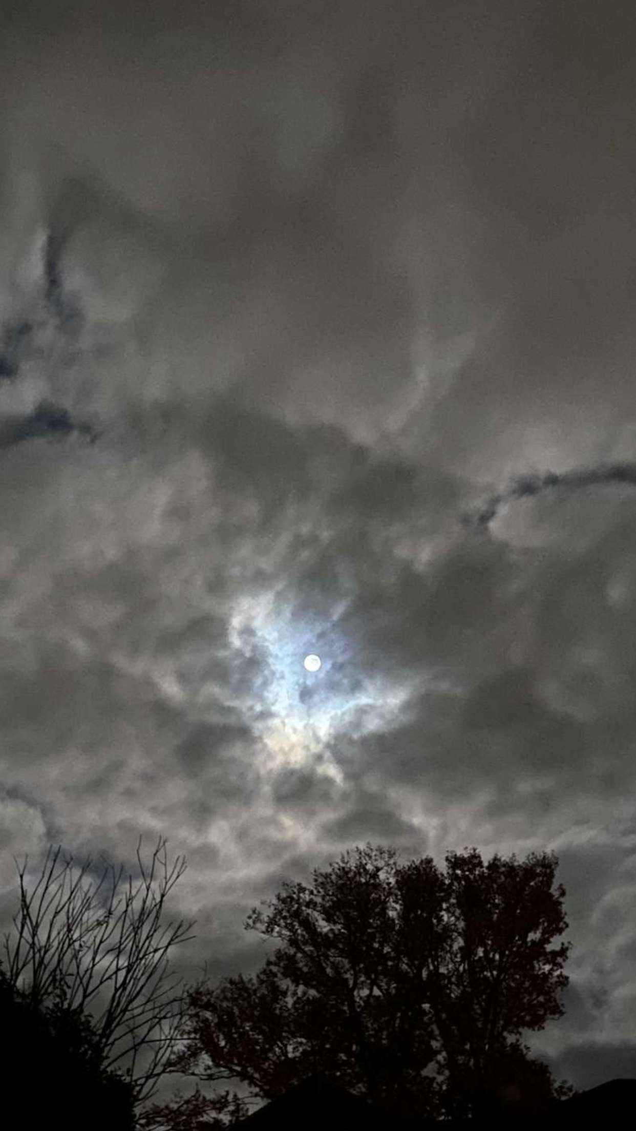 mira.0004 snapchat image archive image