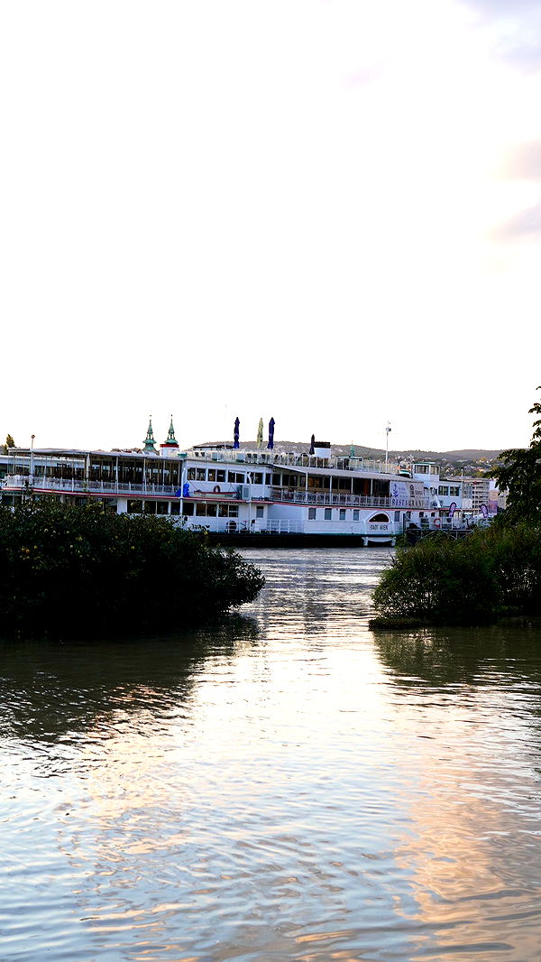 mira.0004 image ~ Altpins