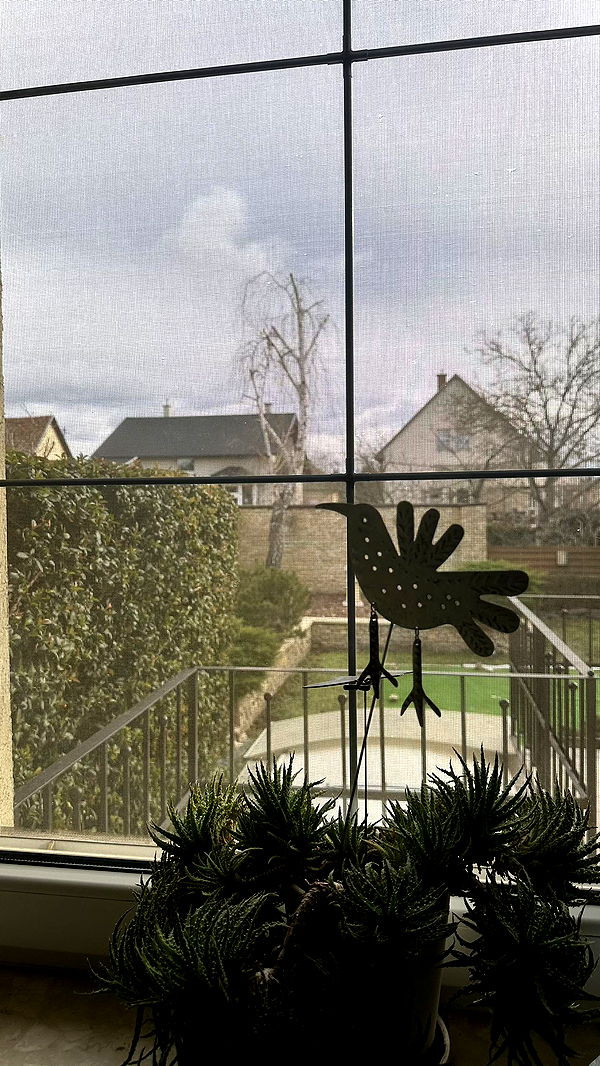 mira.0004 image ~ Altpins