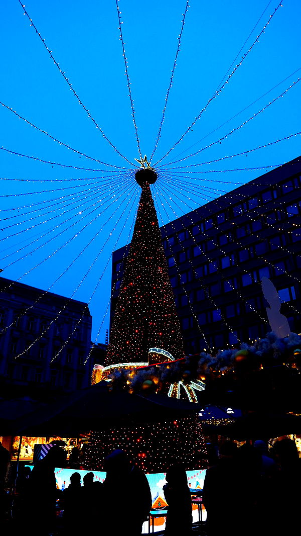 mira.0004 image ~ Altpins