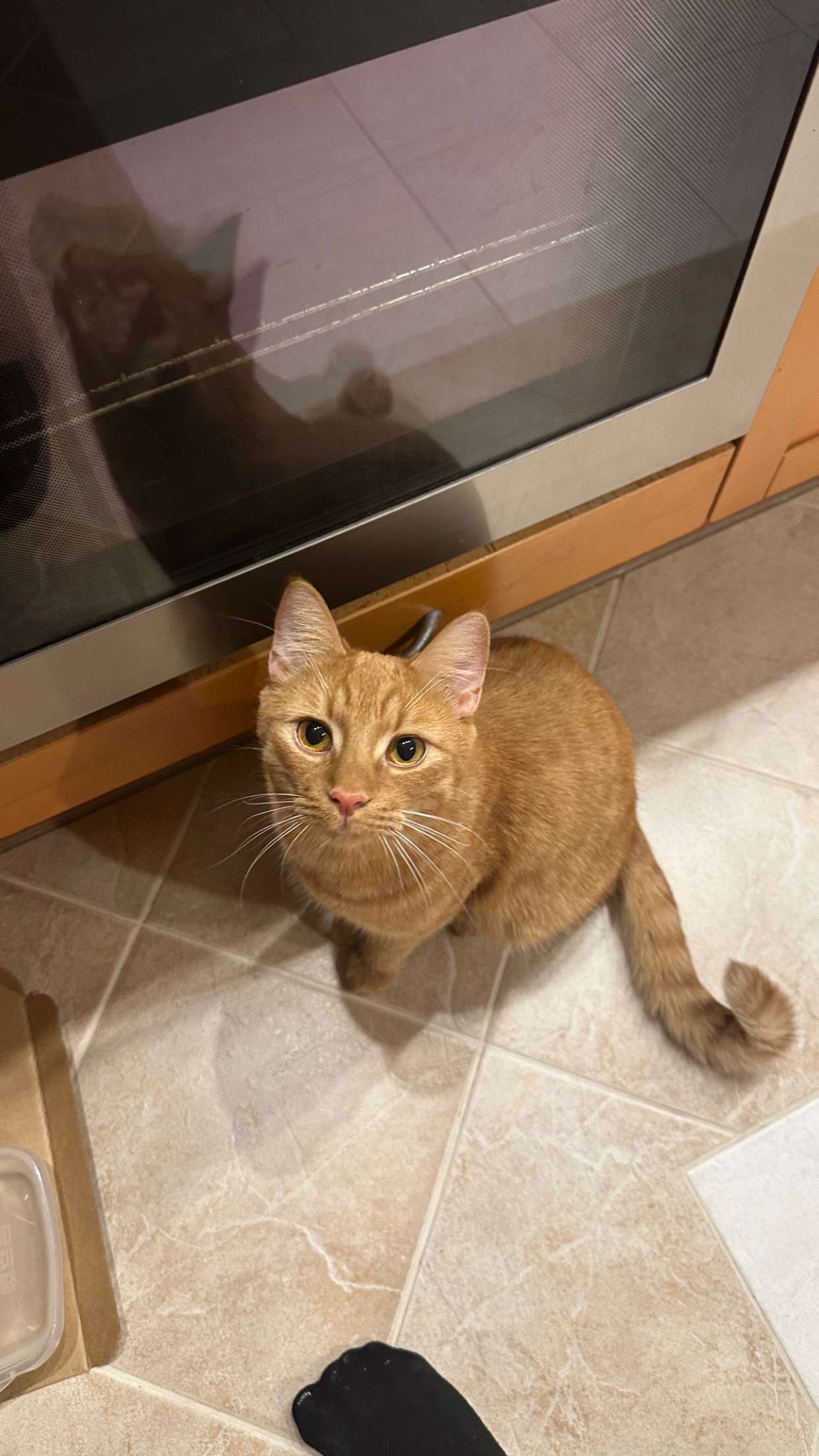 mira.0004 snapchat image archive image