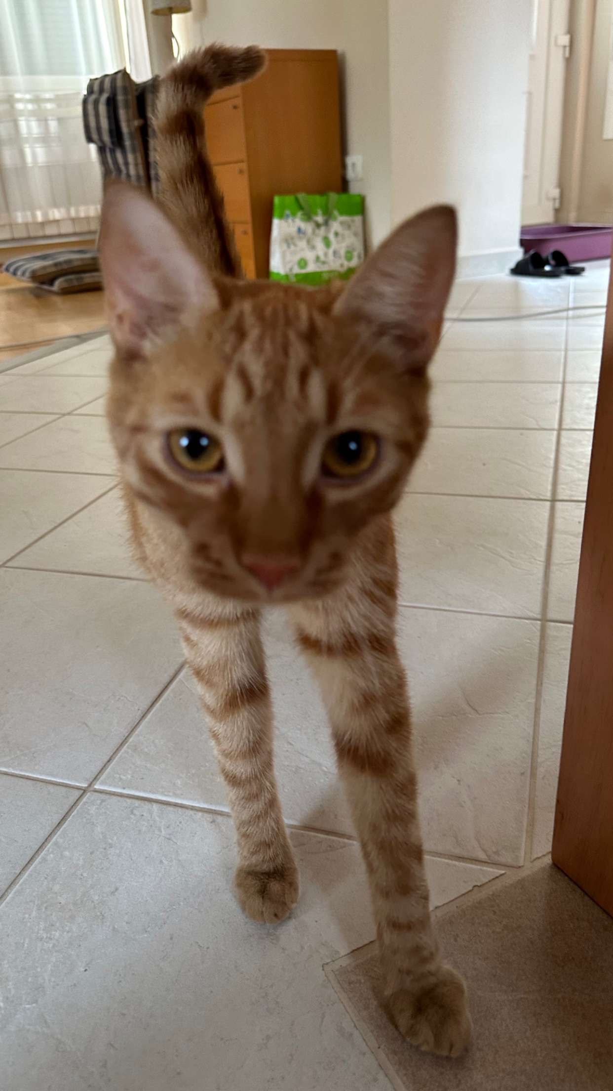 mira.0004 snapchat image archive image