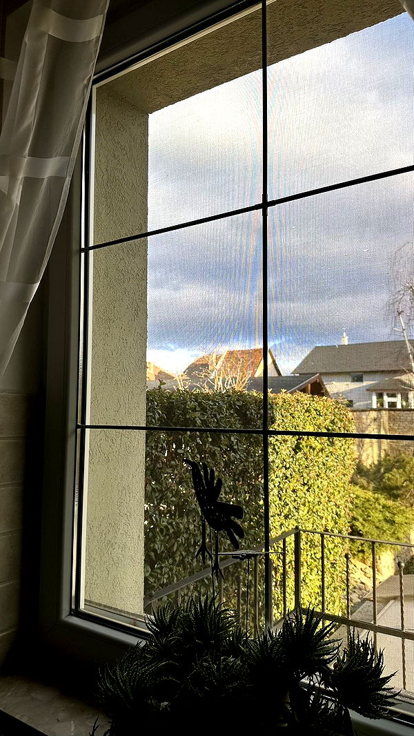 mira.0004 image ~ Altpins