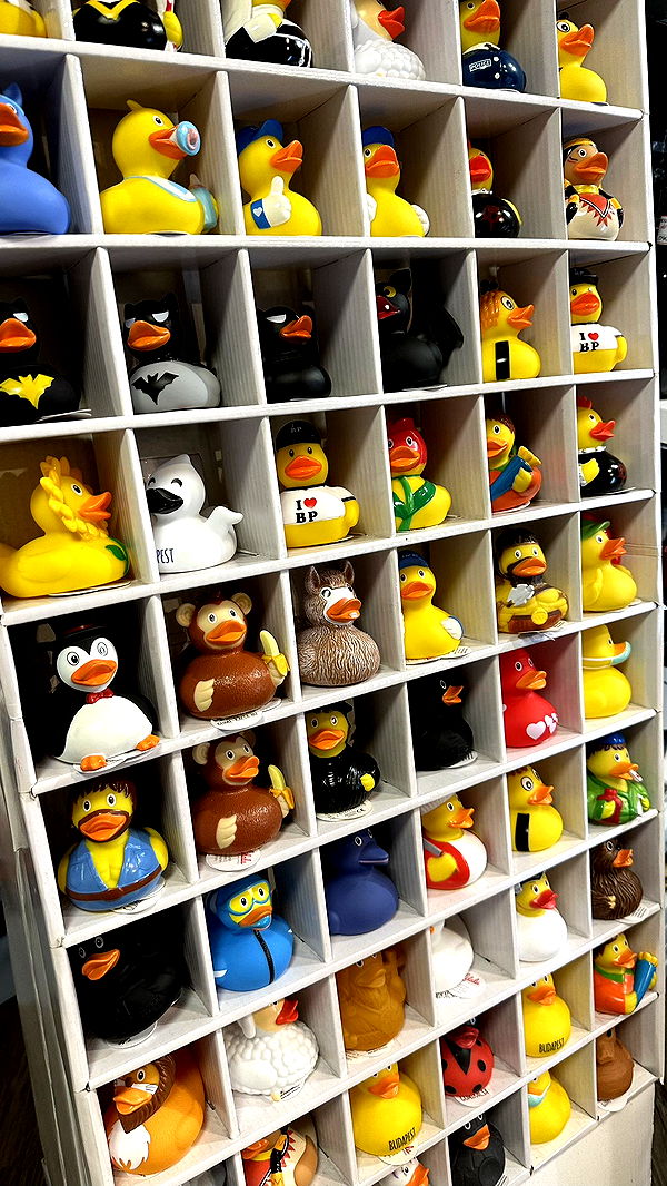 mira.0004 image ~ Altpins