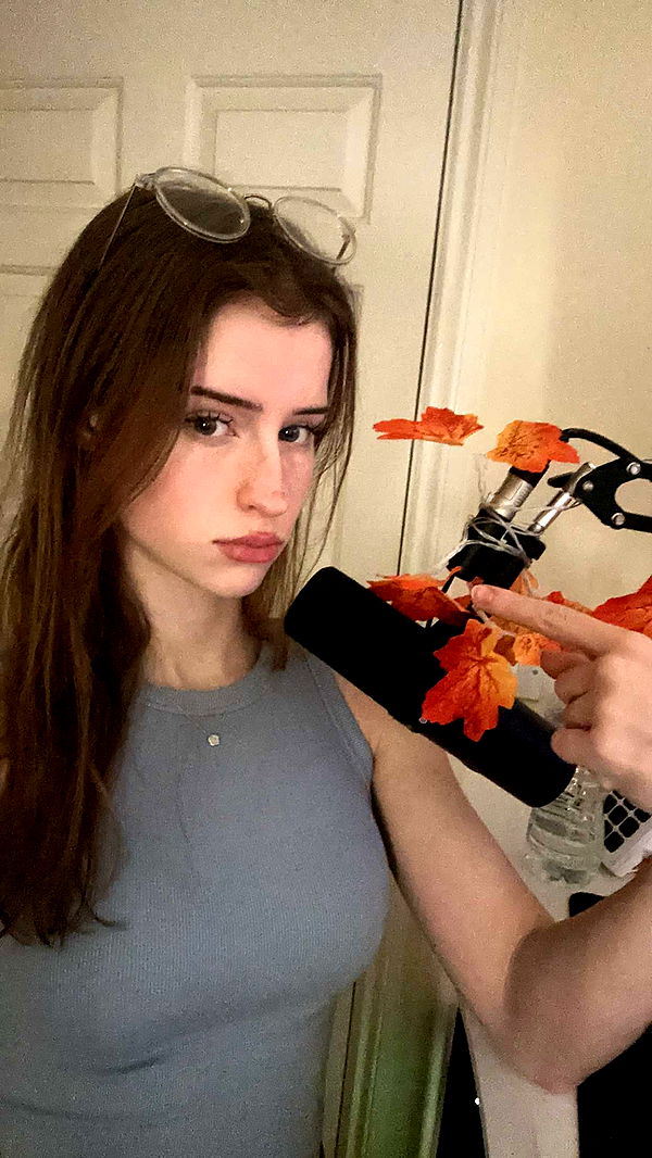 mira.0004 image ~ Altpins