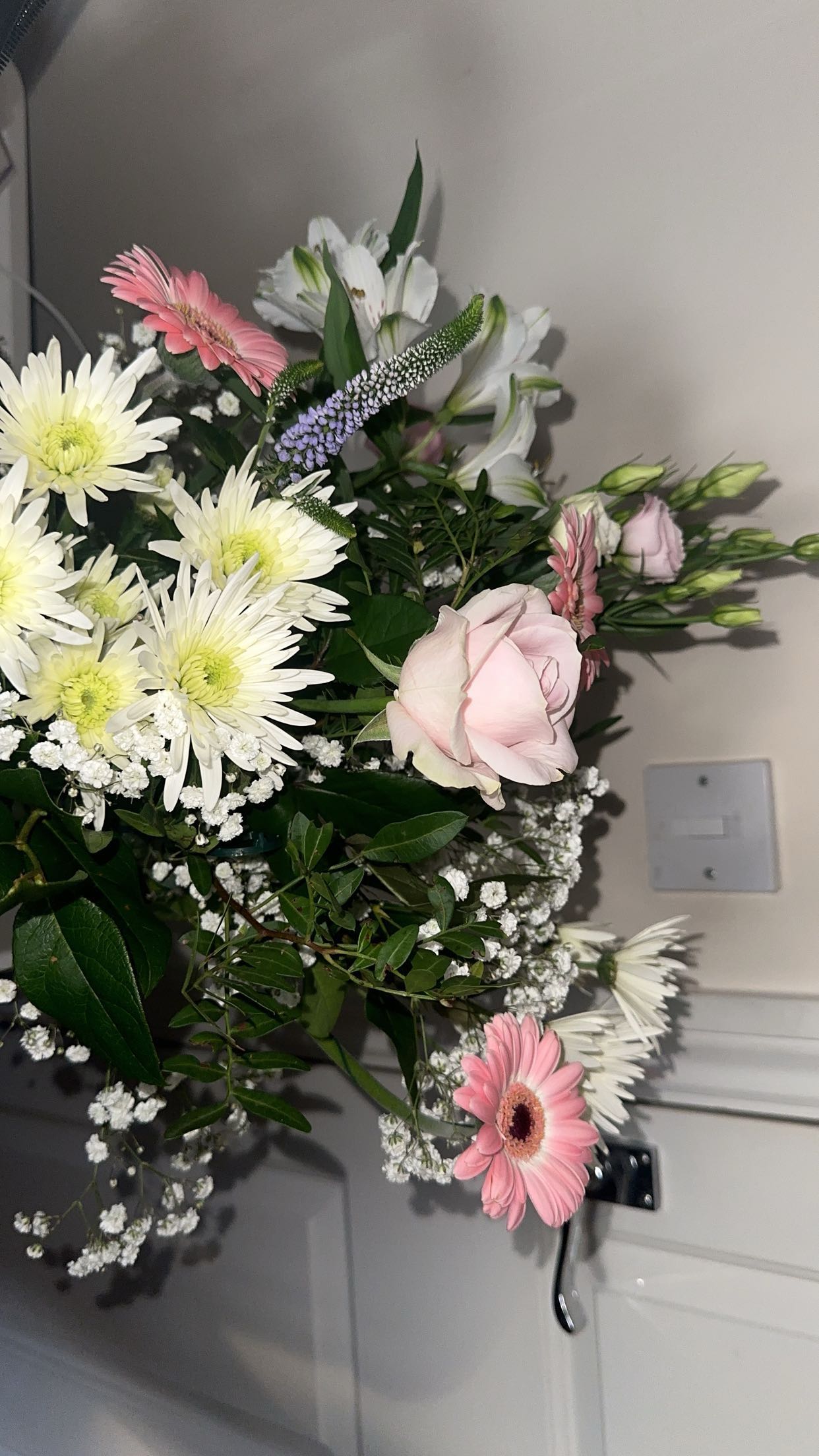 mira.0004 snapchat image archive image