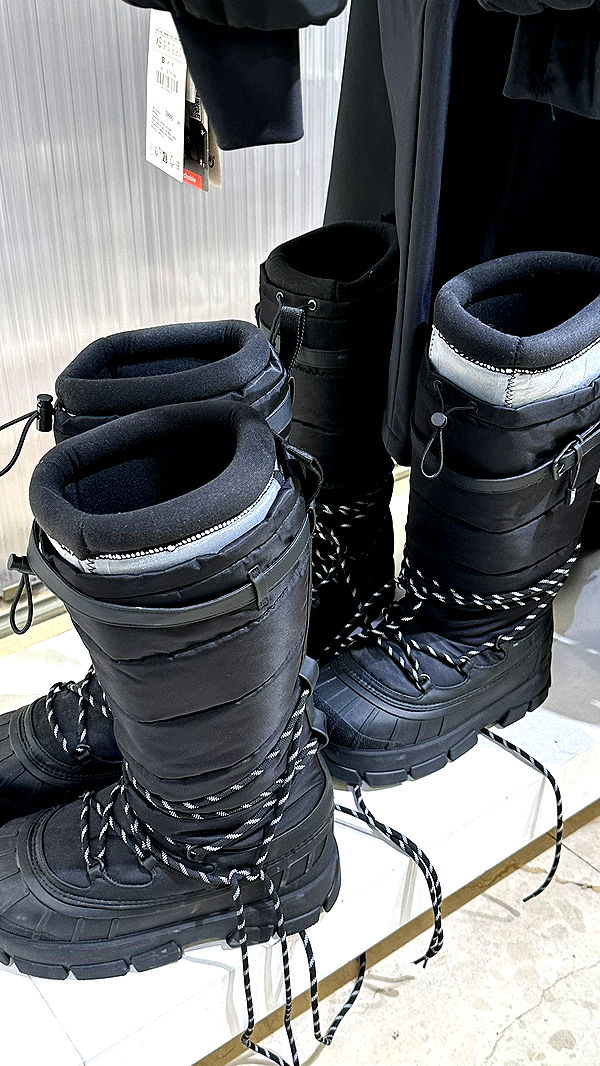 mira.0004 image ~ Altpins