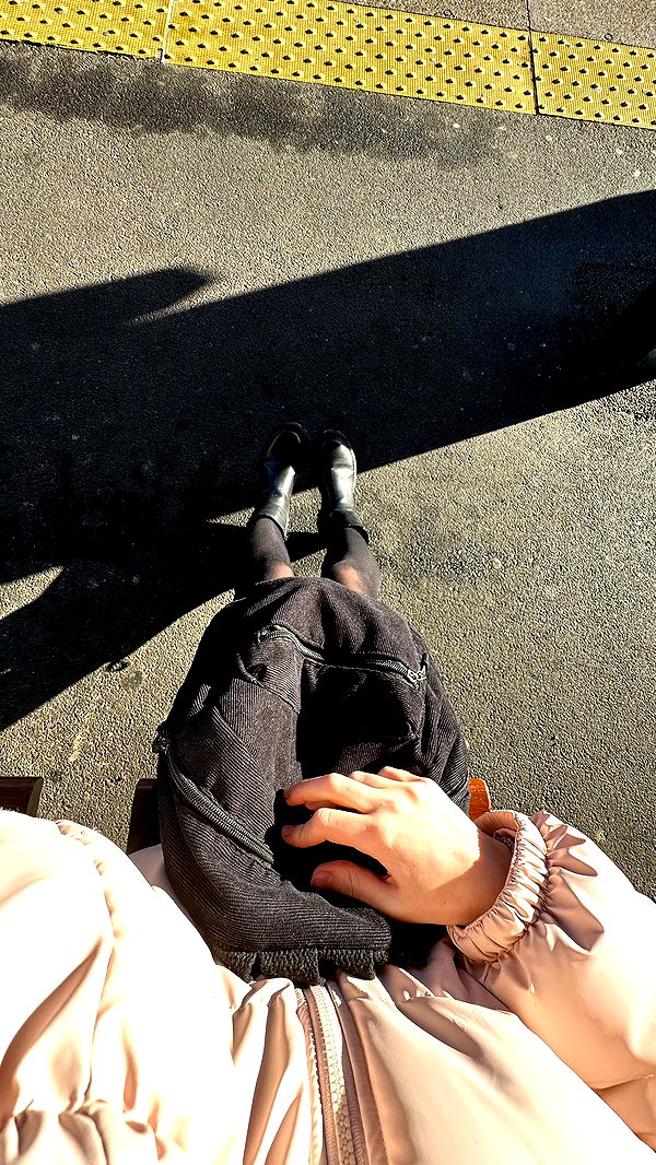 mira.0004 image ~ Altpins