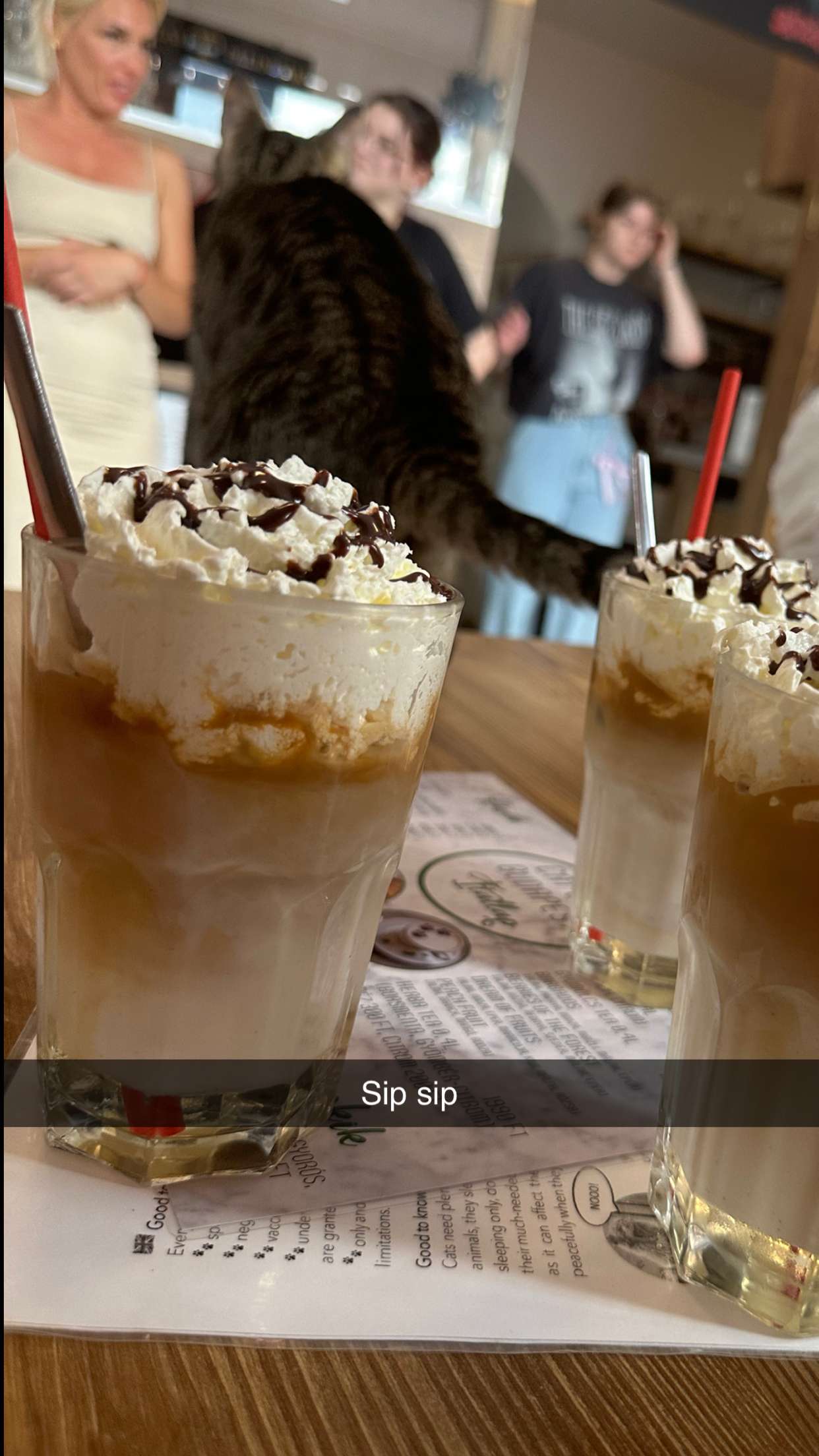 mira.0004 snapchat image archive image