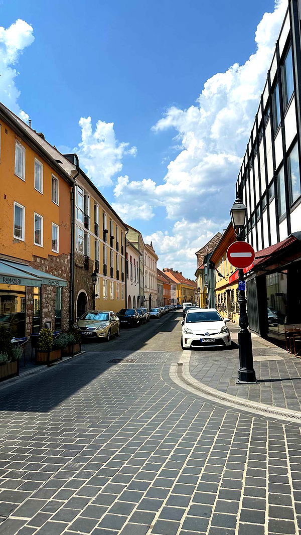 mira.0004 image ~ Altpins