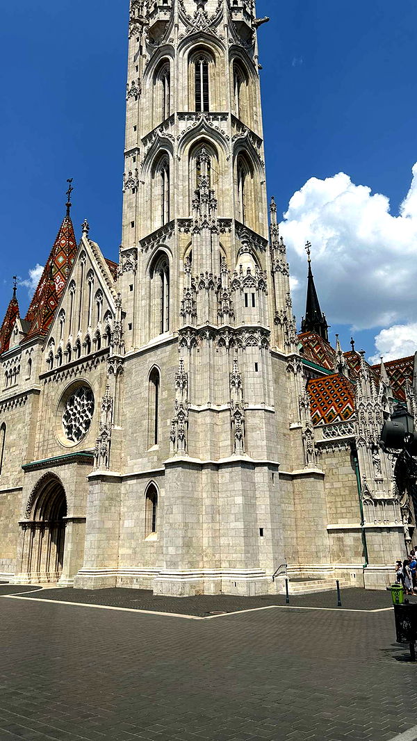 mira.0004 image ~ Altpins