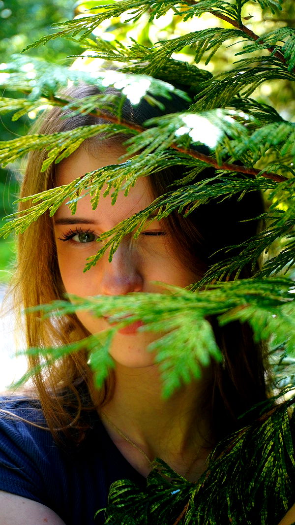 mira.0004 image ~ Altpins