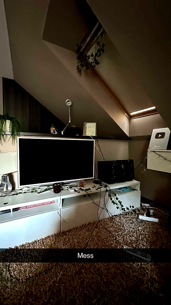 mira.0004 image ~ Altpins