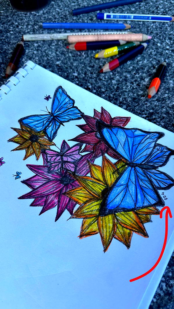 mira.0004 image ~ Altpins