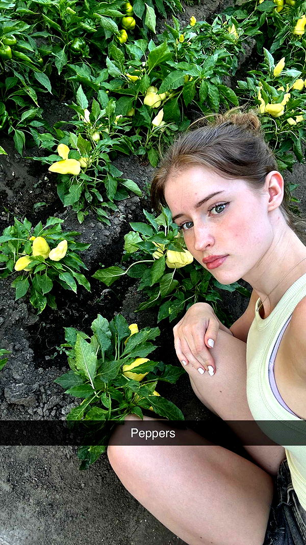 mira.0004 image ~ Altpins