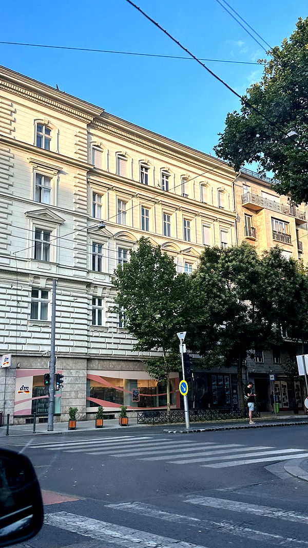 mira.0004 image ~ Altpins