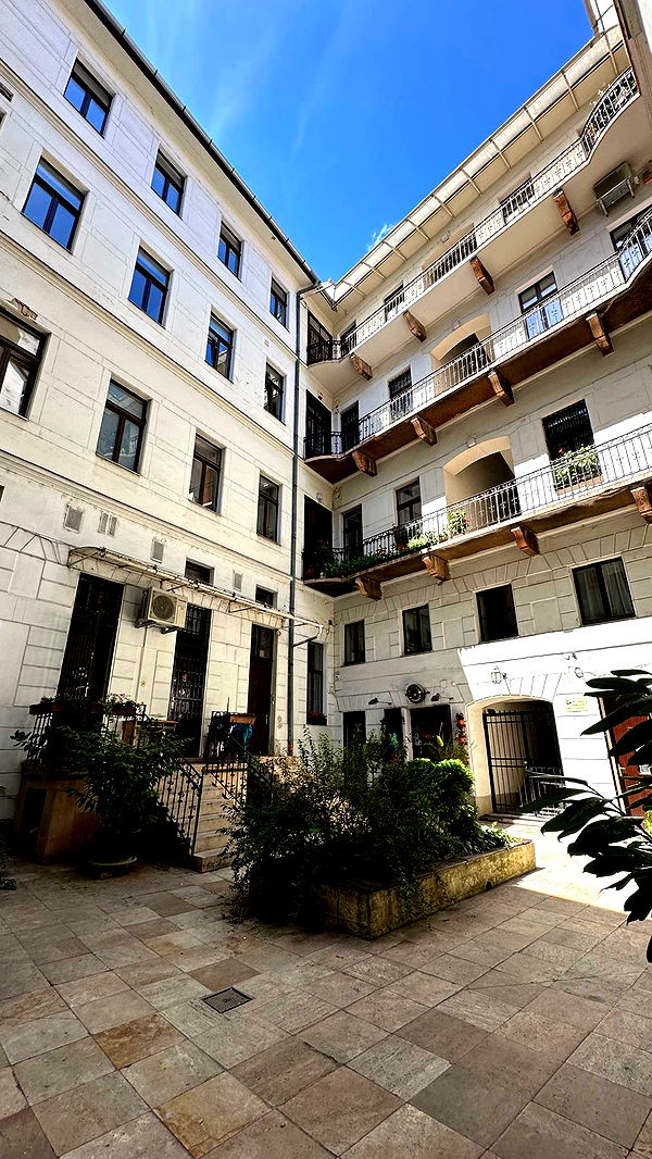 mira.0004 image ~ Altpins