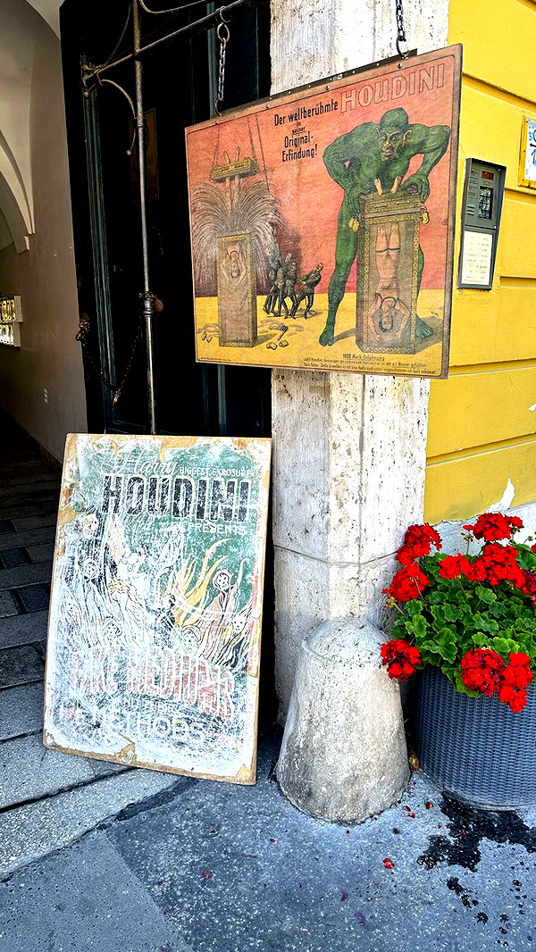 mira.0004 image ~ Altpins