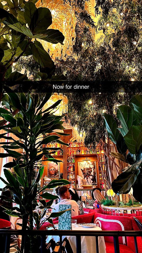 mira.0004 image ~ Altpins