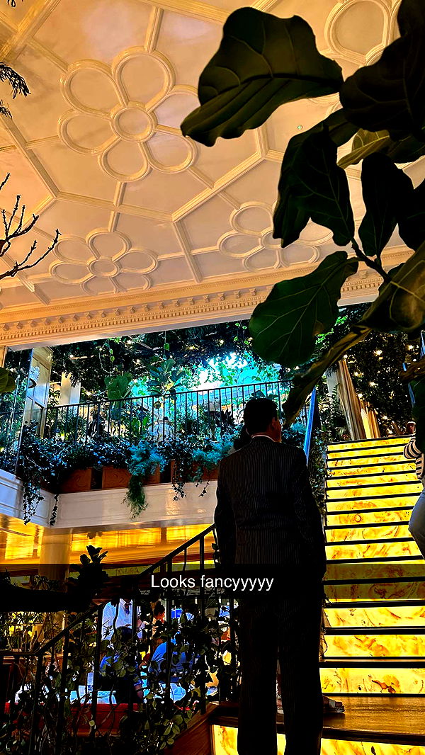 mira.0004 image ~ Altpins