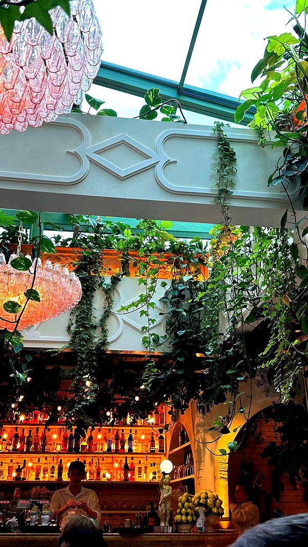 mira.0004 image ~ Altpins