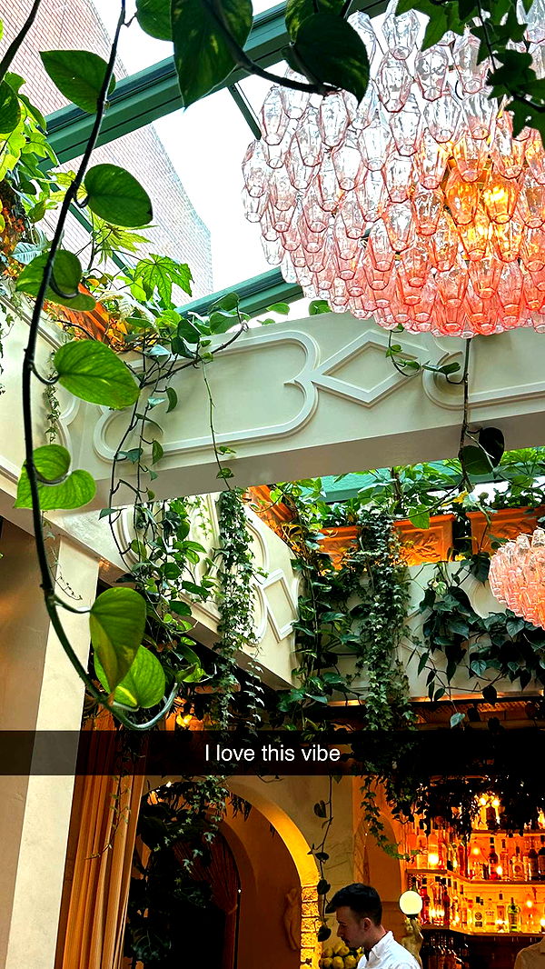 mira.0004 image ~ Altpins