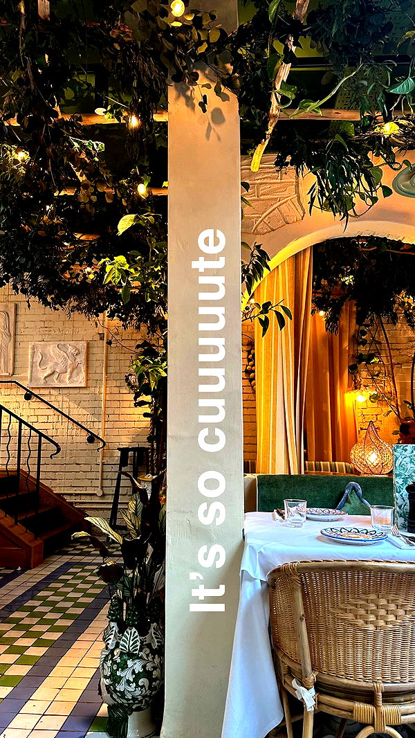 mira.0004 image ~ Altpins