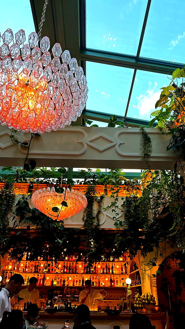 mira.0004 image ~ Altpins