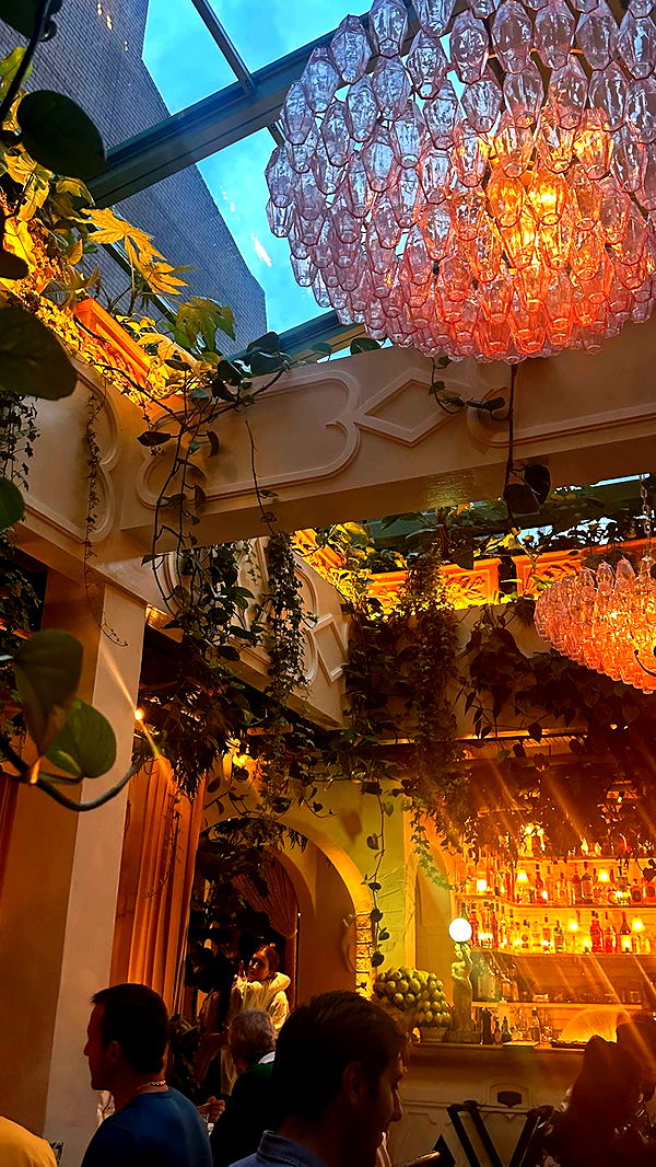 mira.0004 image ~ Altpins