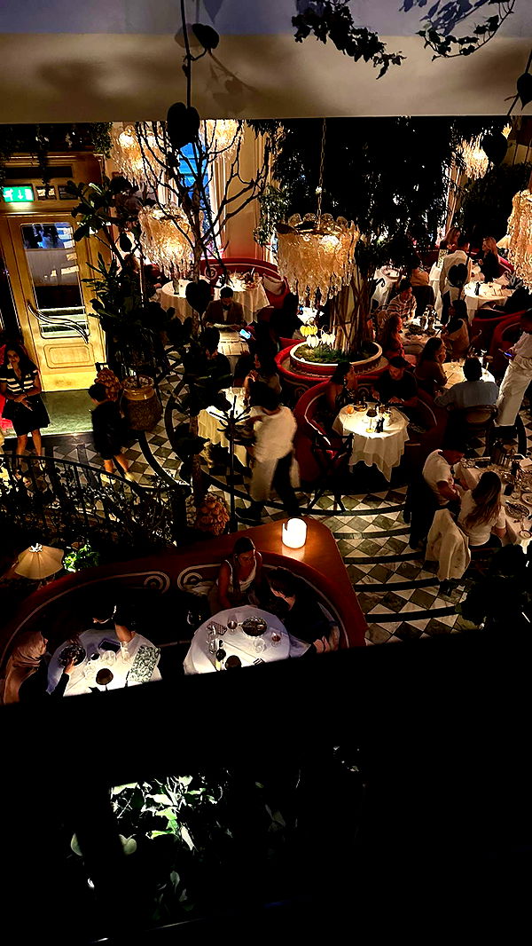 mira.0004 image ~ Altpins