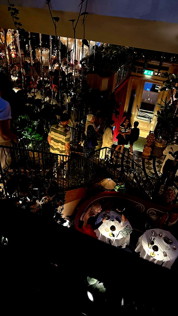 mira.0004 image ~ Altpins