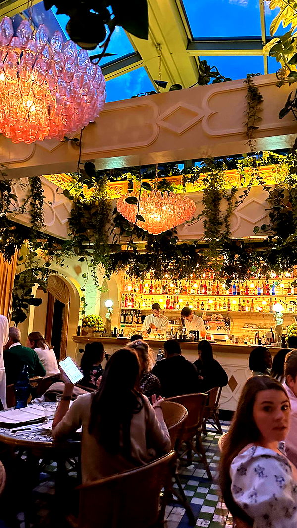 mira.0004 image ~ Altpins