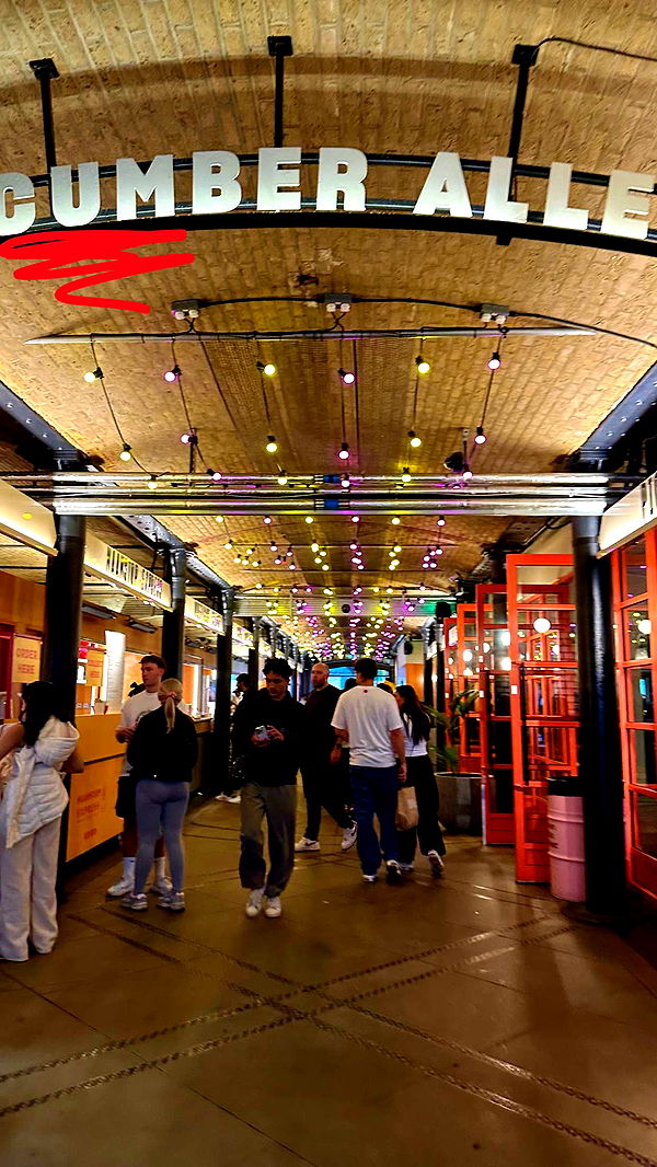 mira.0004 image ~ Altpins