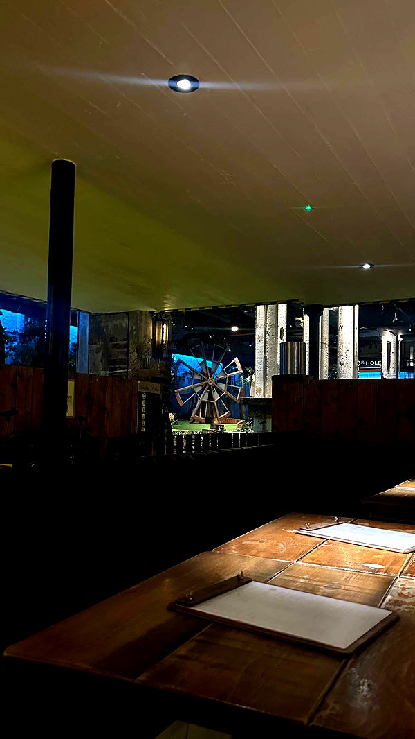 mira.0004 image ~ Altpins