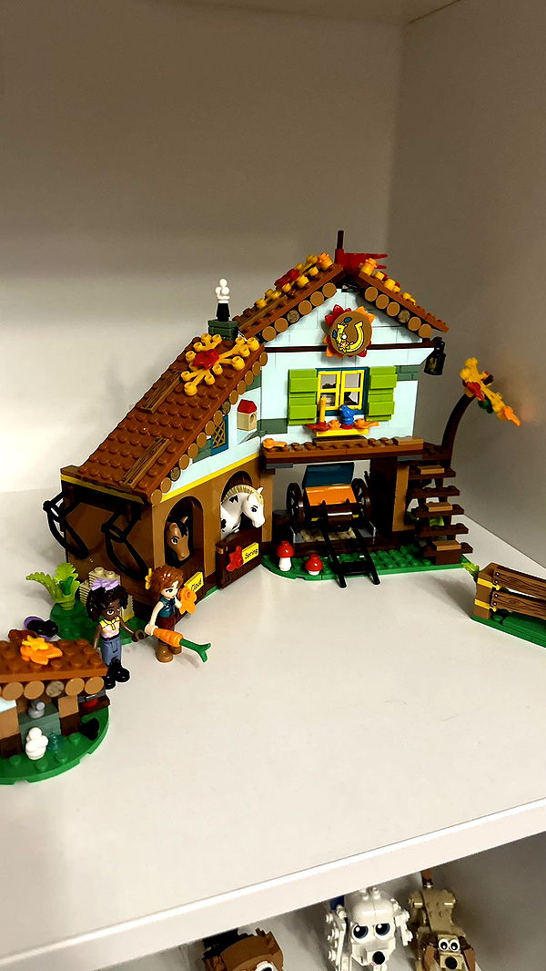 mira.0004 image ~ Altpins