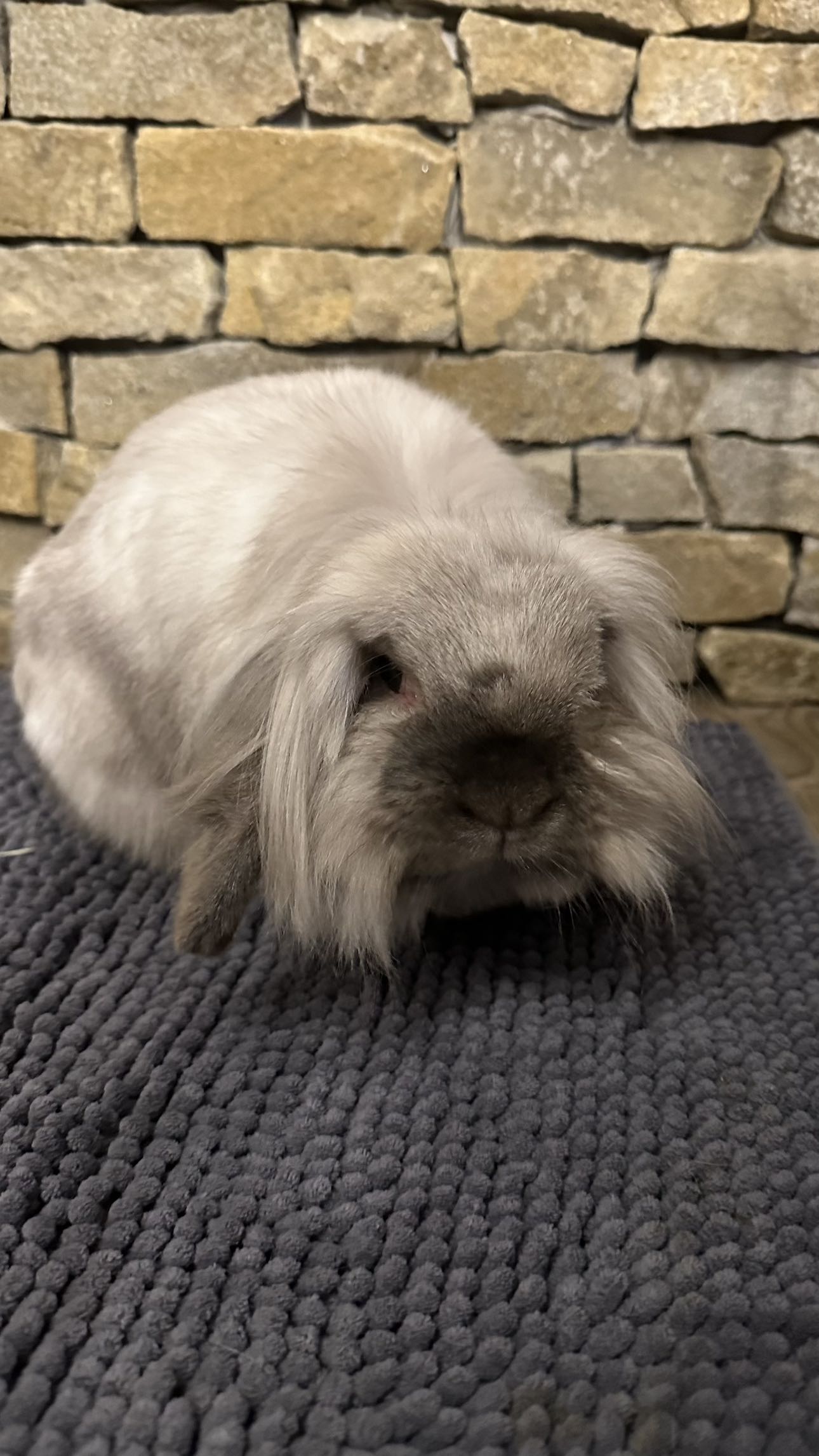 mira.0004 snapchat image archive image