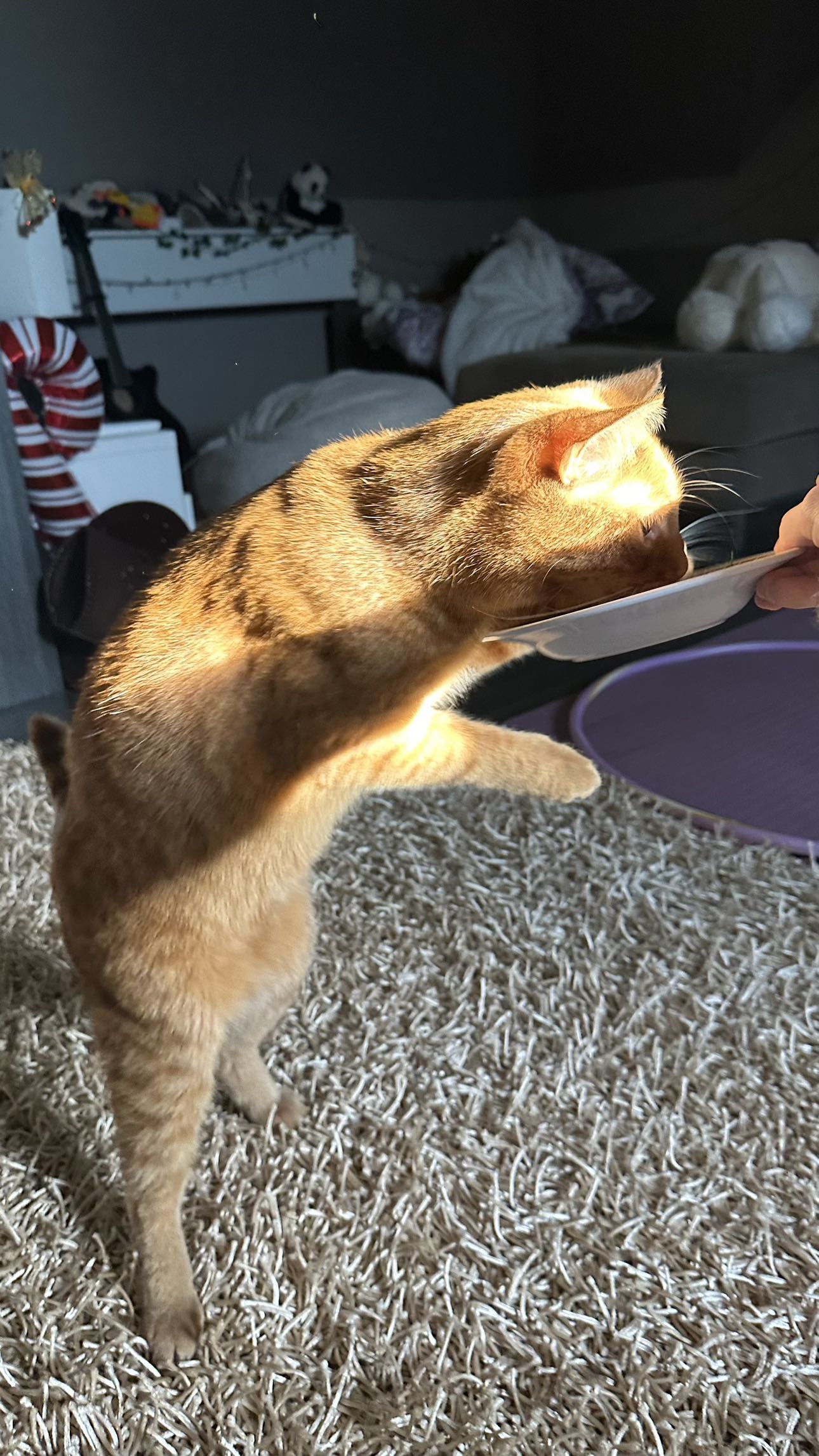 mira.0004 snapchat image archive image