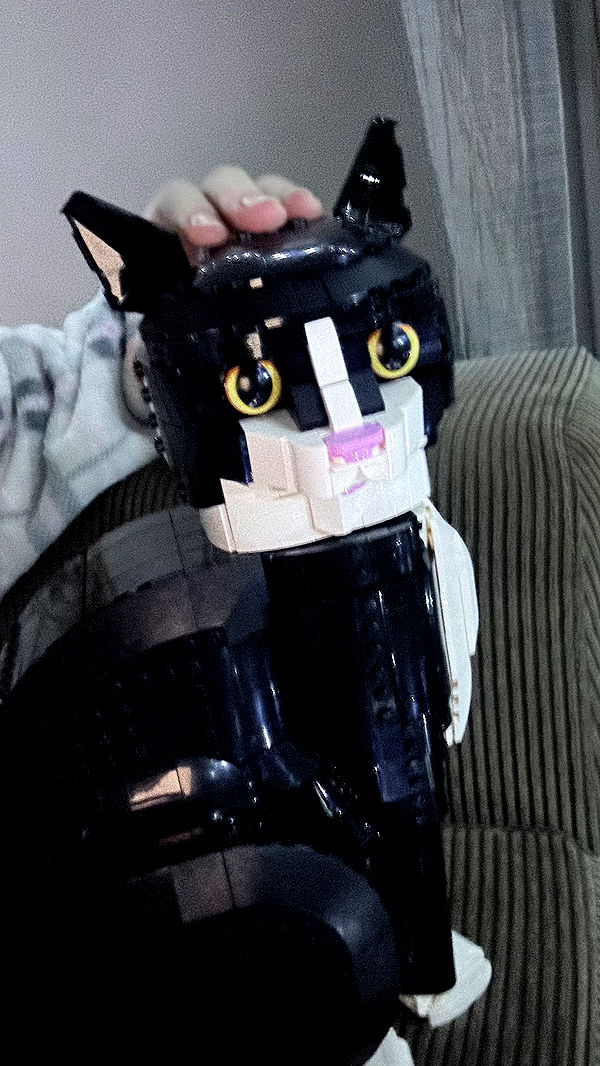 mira.0004 image ~ Altpins