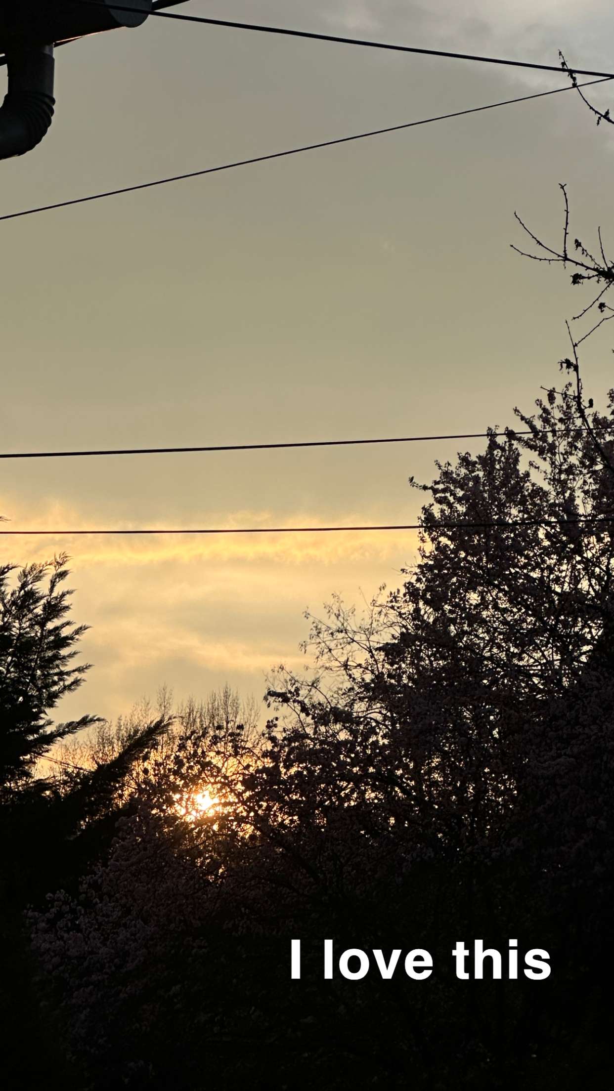 mira.0004 snapchat image archive image