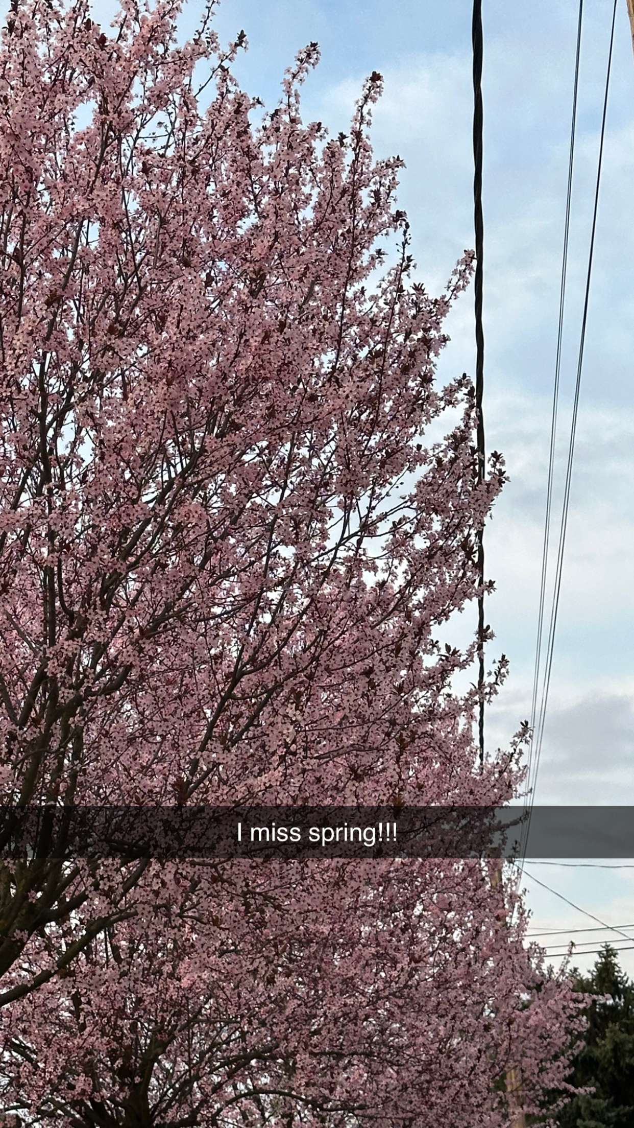 mira.0004 snapchat image archive image