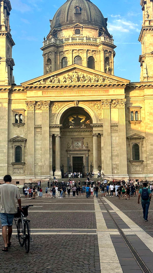 mira.0004 image ~ Altpins