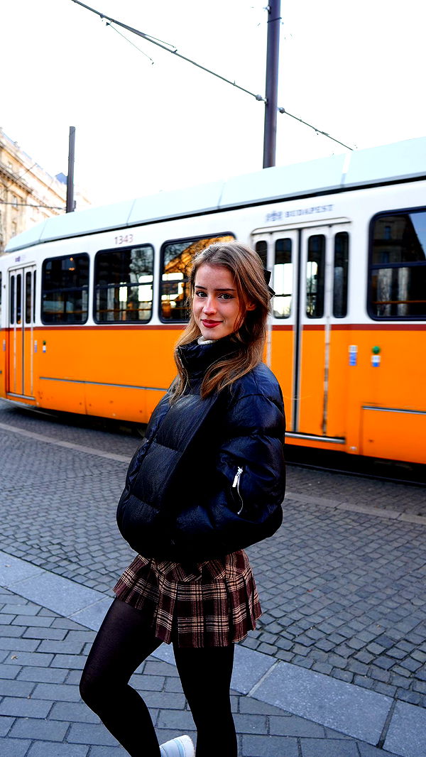 mira.0004 image ~ Altpins