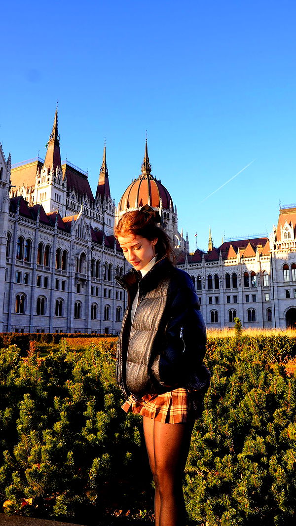 mira.0004 image ~ Altpins