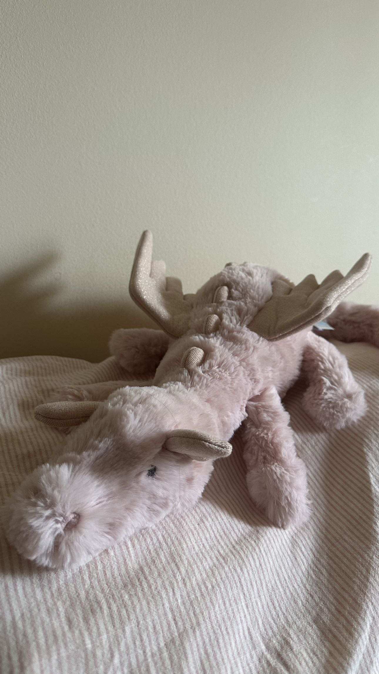 mira.0004 snapchat image archive image