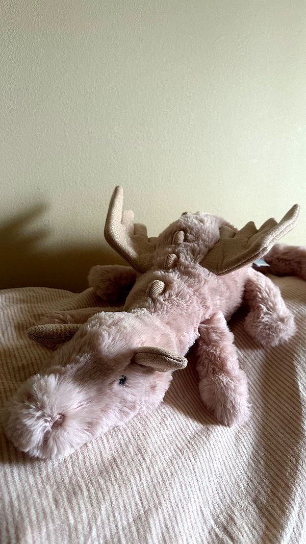 mira.0004 image ~ Altpins